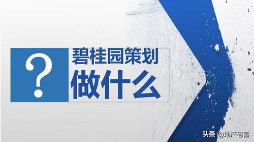 碧桂園項目開盤前策劃標準動作指引